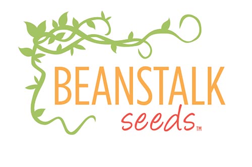 Beanstalk Seeds